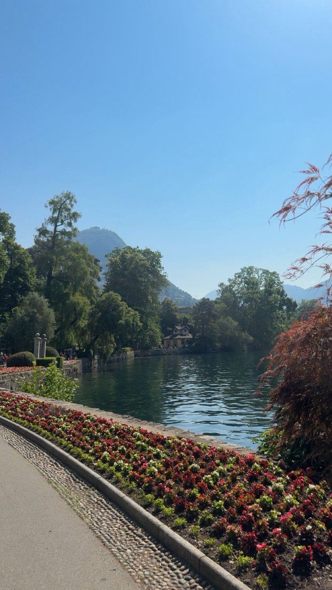 danaibraa's tweet photo. 🧸🇨🇭 https://t.co/52ugWhzA3N