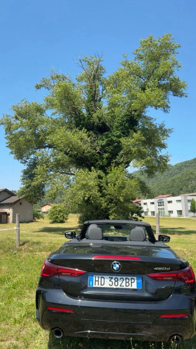 danaibraa's tweet photo. 🧸🇨🇭 https://t.co/52ugWhzA3N