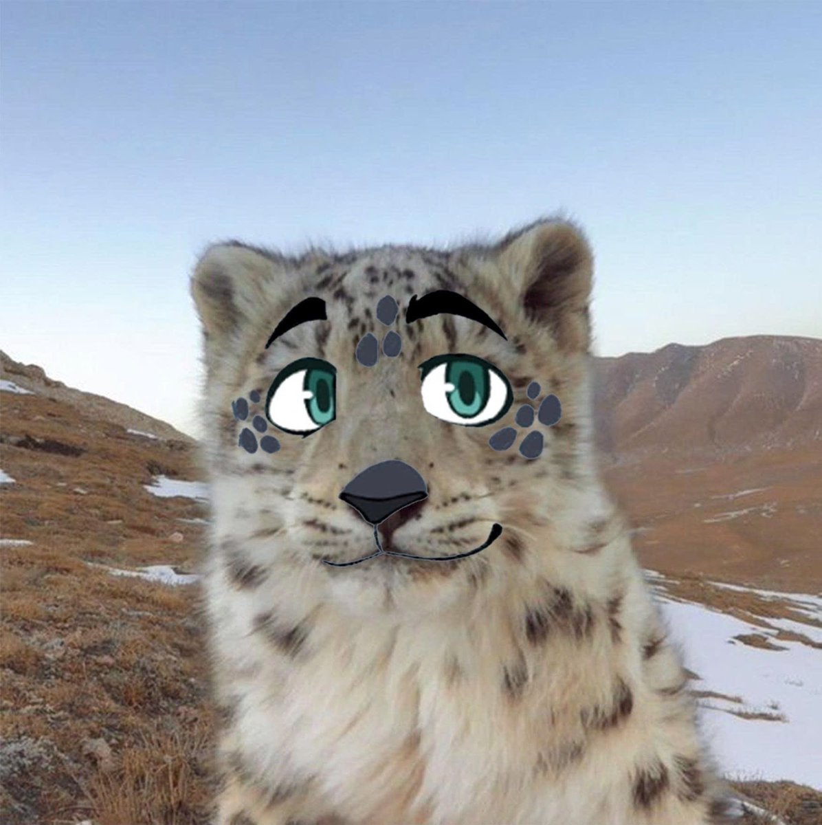Meowcat tweet media