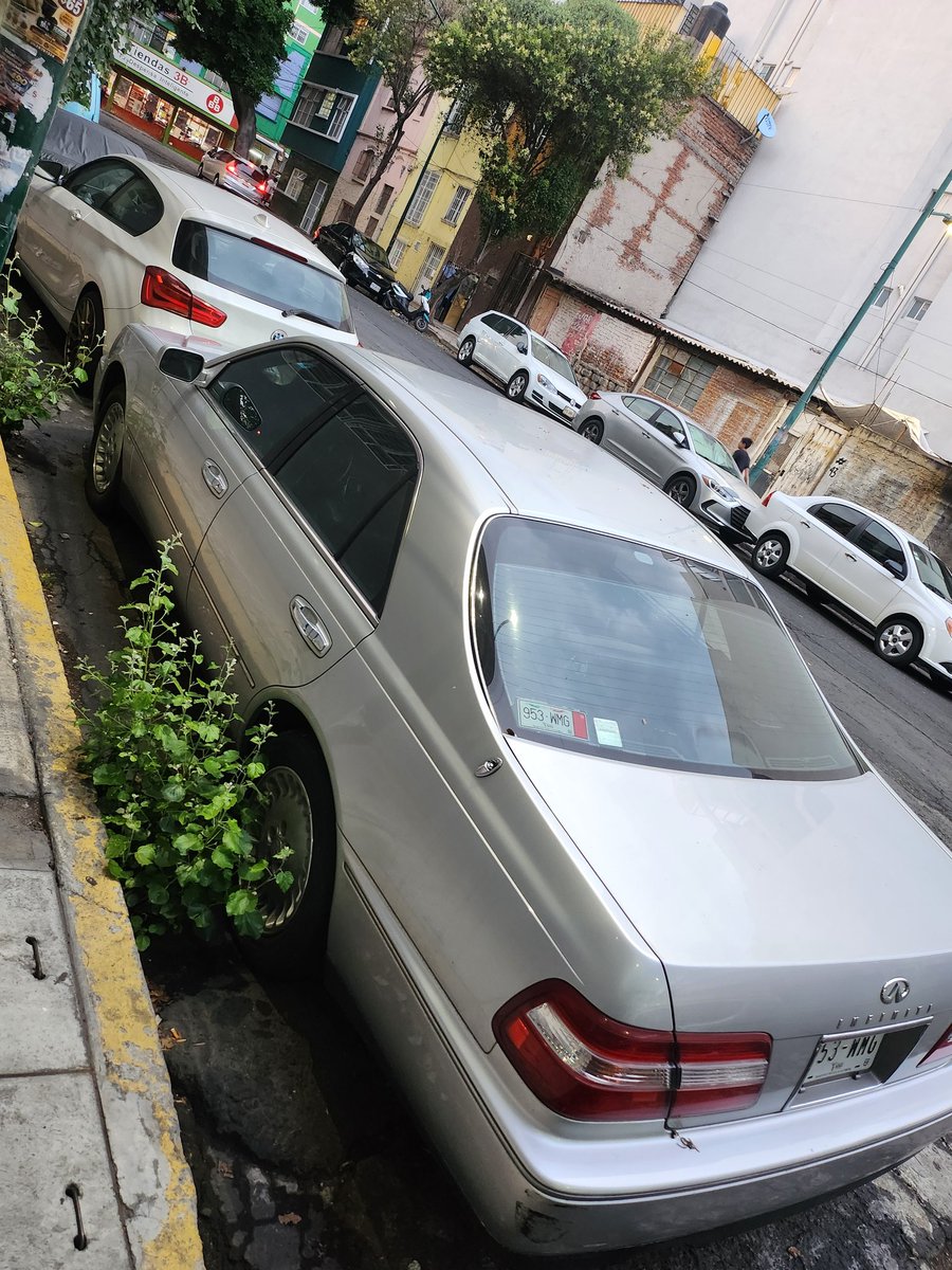 kittyily's tweet photo. Gracias x llevarse esos coches viejos abandonados aquí afuera (Estrella 40) te lo agradecemos mucho @AlessandraRdlv muchas gracias 😘 https://t.co/HaqZraitIR