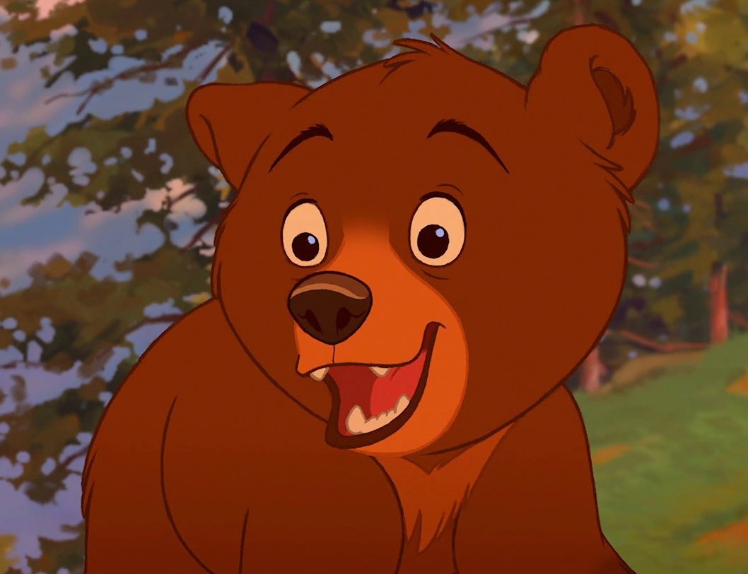 Bear Of The Day! tweet media