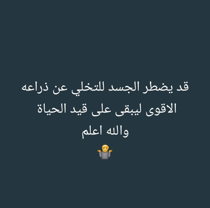 بشير معضاد tweet media