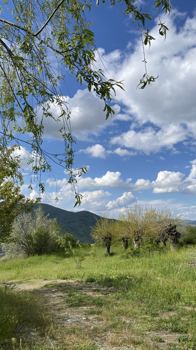 aasuheda's tweet photo. Ben bugün köyüme gittiiimmm☘️✨🥹 https://t.co/hyRYk1W332
