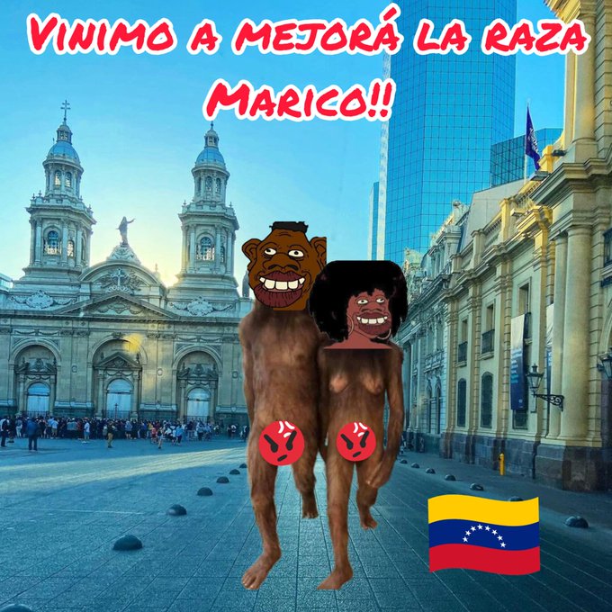 Chilean Lives Matter tweet media
