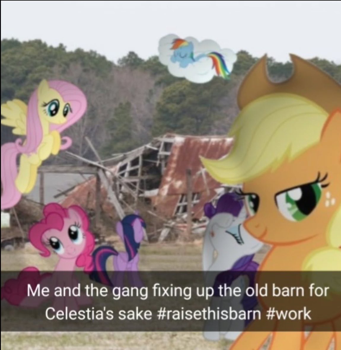 altpone tweet media