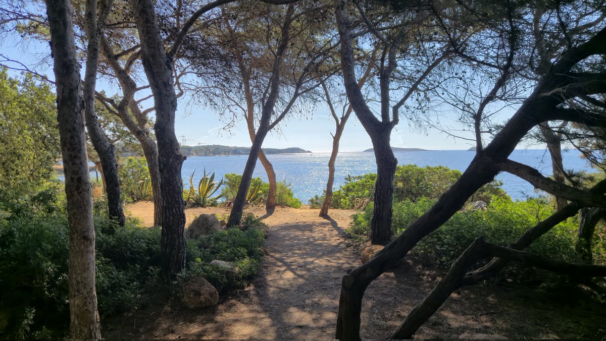 mulesee's tweet photo. Beautiful walk today, 7.8km from Saint Eulalia to EsCane, Ibiza. Always love to do this walk at least once while here. https://t.co/YbXQdbtkko