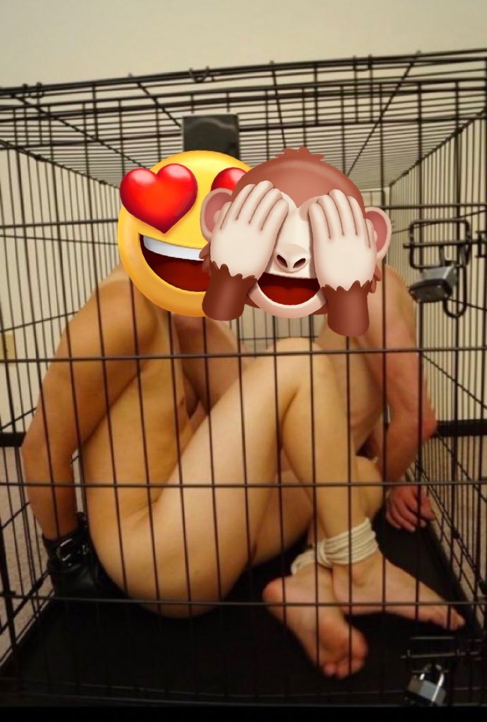 KaderCashAlpha's tweet photo. Il faut chaud et j’ai enfermé mes 2 lopes dans une cage complètement nu et attaché 🥵😈😈😈 ils sont punis jusqu’à ce soir https://t.co/qSUI9eM9hH