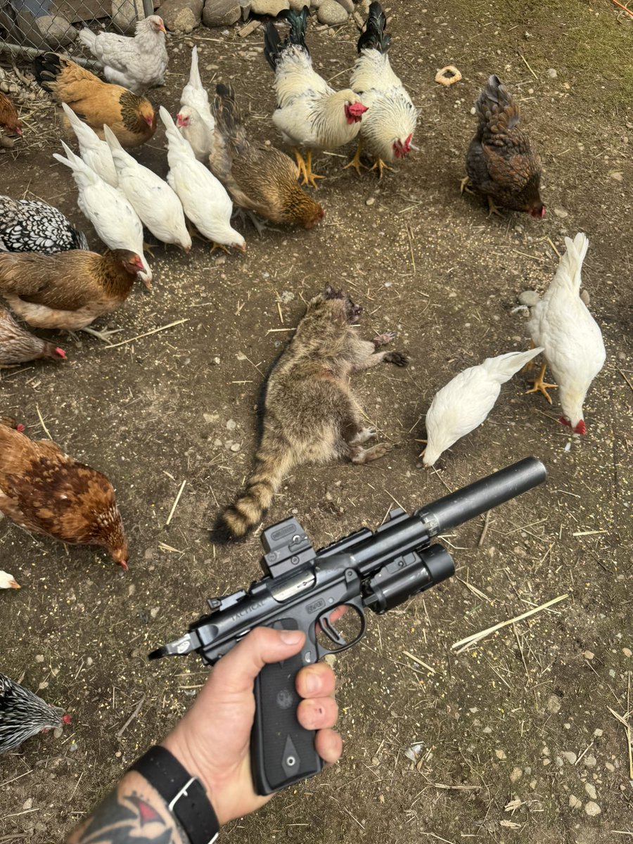 PNWGUERRILLA tweet media