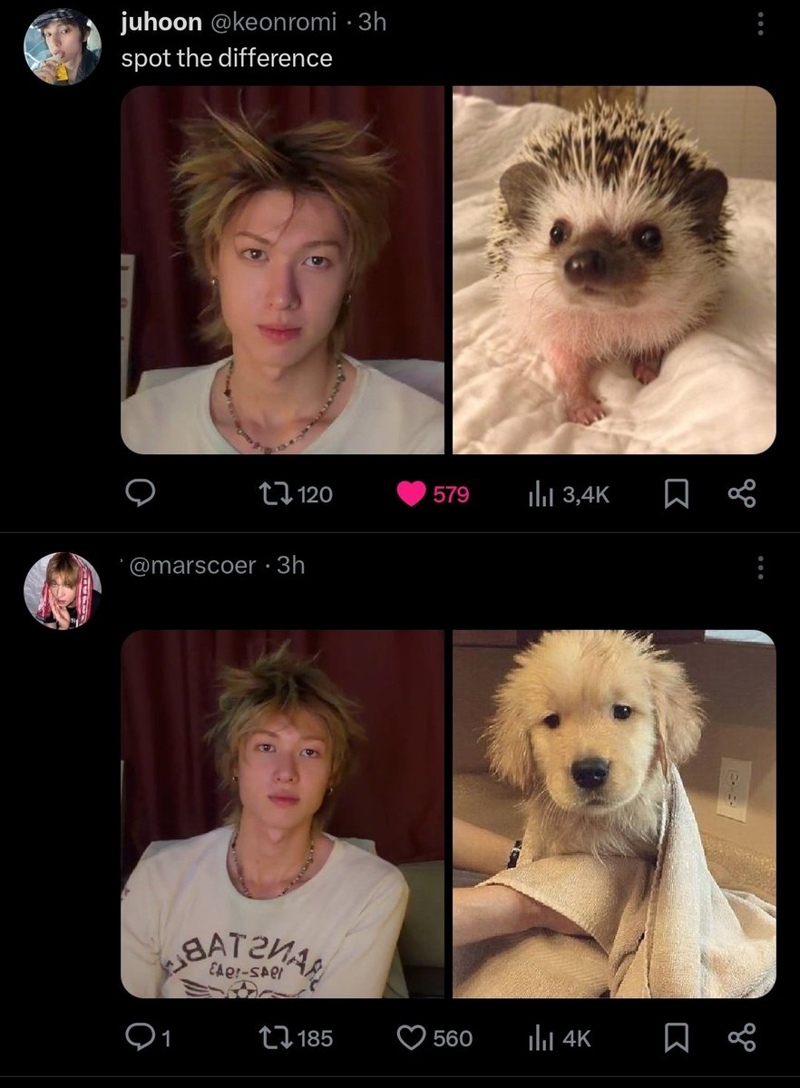 ma(x)rtin ⁷ tweet media