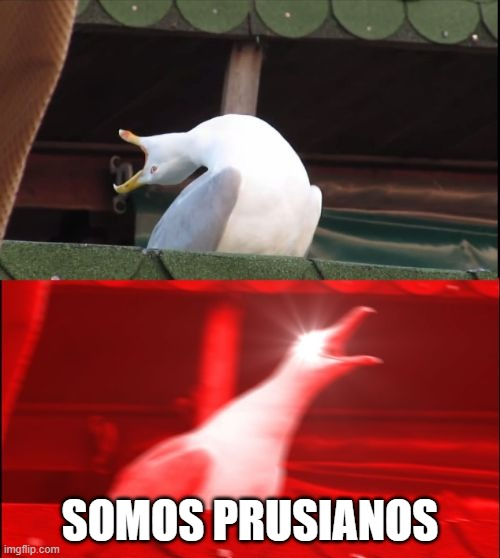 Pablo Dávila tweet media