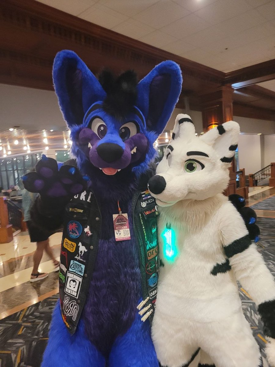AxelFoxx (The Folf) tweet media