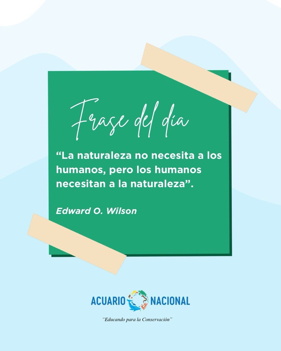 AcuarioRDo's tweet photo. ¡𝓕𝓮𝓵𝓲𝔃 𝓲𝓷𝓲𝓬𝓲𝓸 𝓭𝓮 𝓼𝓮𝓶𝓪𝓷𝓪! ✨🌟

☀️ Frase del día:

“La naturaleza no necesita a los humanos, pero los humanos necesitan a la naturaleza”. — Edward O. Wilson https://t.co/kO4IcpTBiU