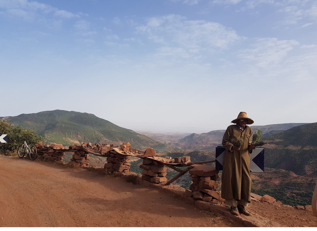 ObsdaMidia's tweet photo. Hoje é o #diadaafrica O bioma não é só savanas e plano como muitos pensam. Aprendi nesse trabalho na década passada no norte da #África. Incrível, como desconhecemos o continente africanos que já foi o mesmo que o nosso antes da separação e invasão do Oceano Atlântico. https://t.co/1cseoHu35o