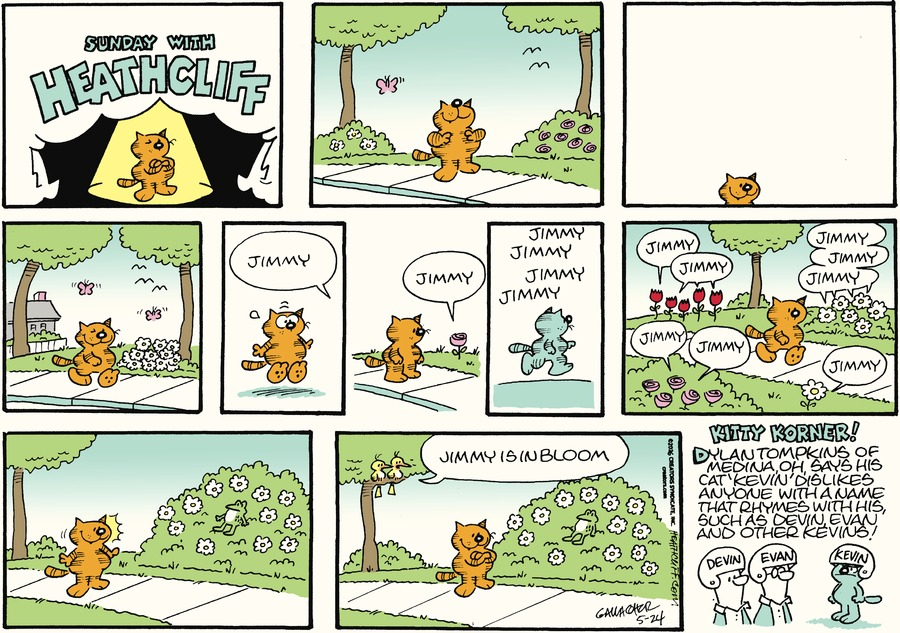 actual heathcliff comics tweet media