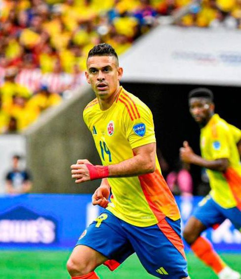 gato tweet media