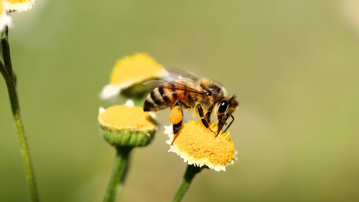Give A Shit About Nature tweet media