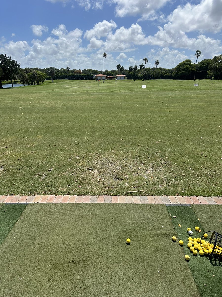 Country Club Casual tweet media