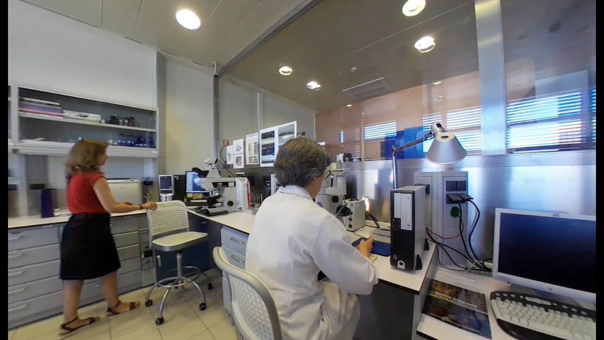 hebusto's tweet photo. ¿Sabías que en el @museodelprado hay un laboratorio de análisis? María Barra nos desvelará sus secretos y la relación entre Ciencia y Arte en un curso de verano de @unirioja que no te puedes perder: “Cuando la química se hace Arte”. Gracias a @RSEQUIMICA. https://t.co/bXRgrcWmx0 https://t.co/jnl7ousKbE