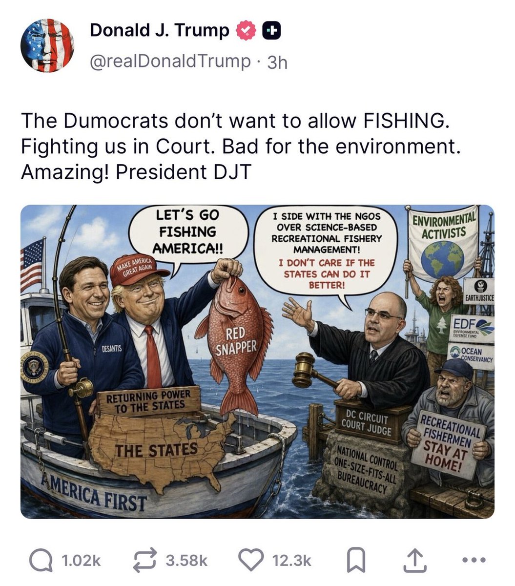 Paddy Boocock tweet media