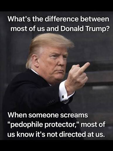 Mushnut tweet media