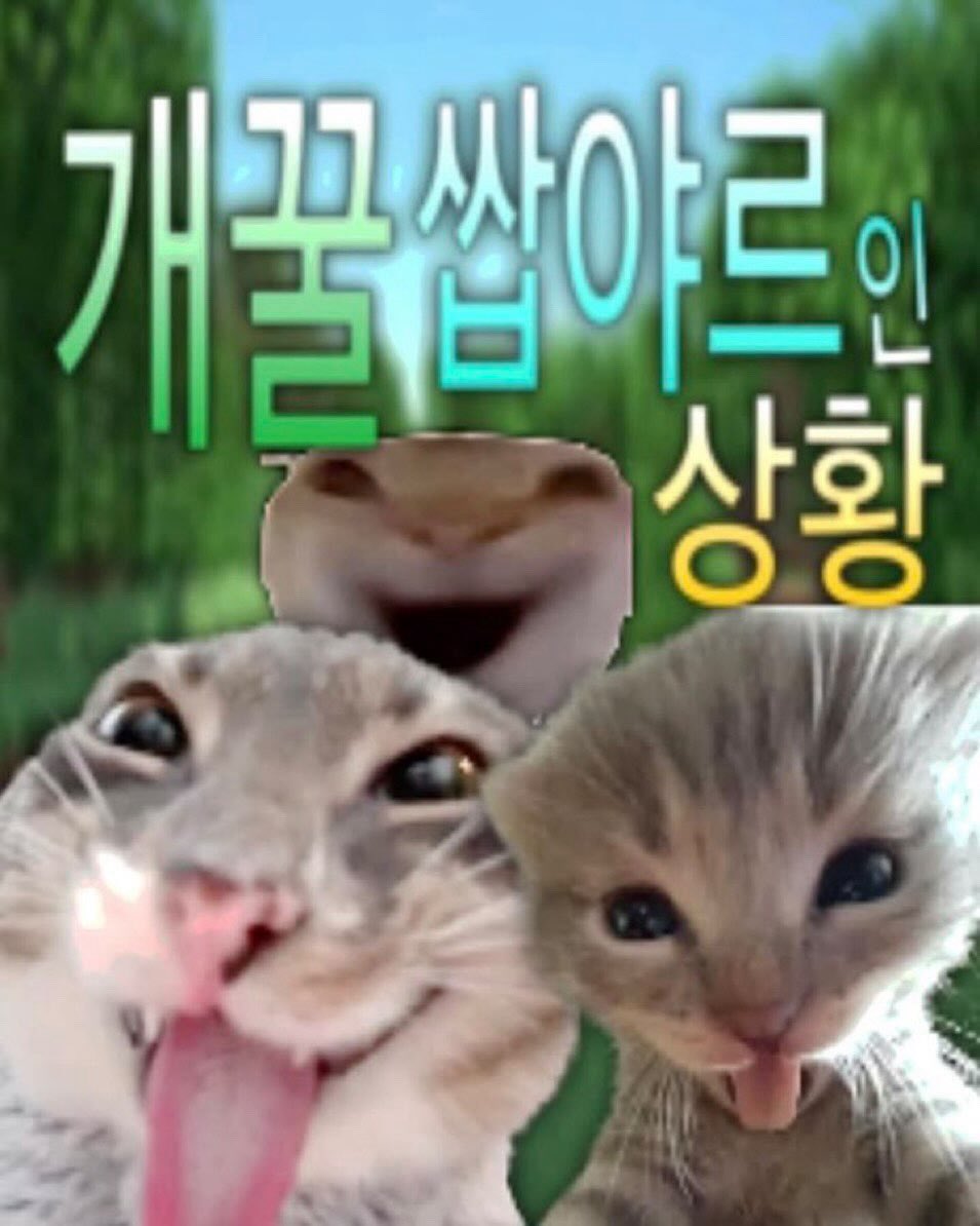 정상인상 tweet media