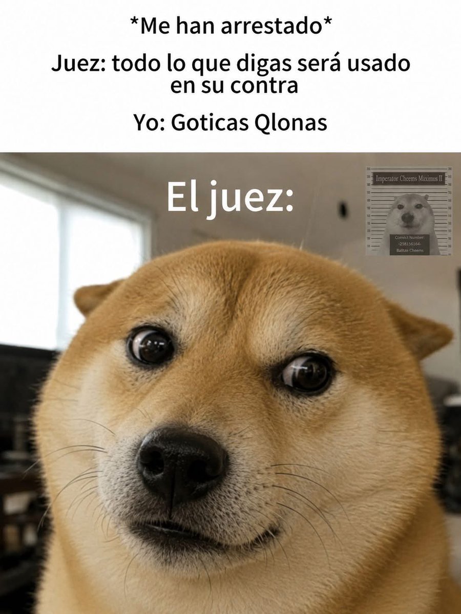 Cheems Rojo tweet media