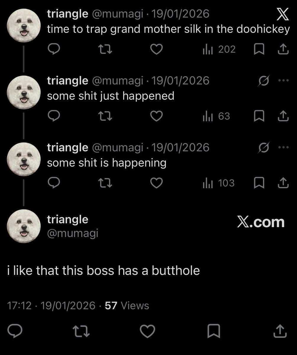 triangle tweet media