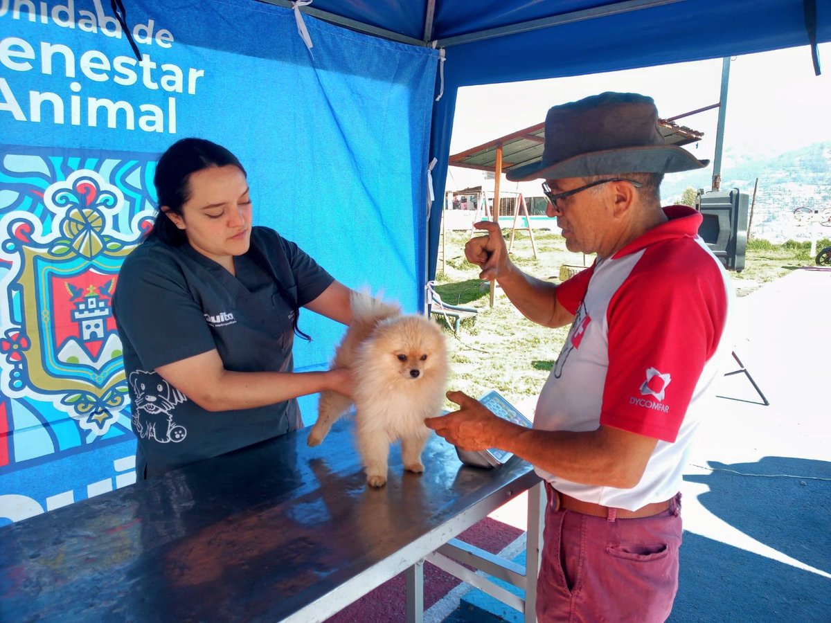 Unidad de Bienestar Animal Quito tweet media