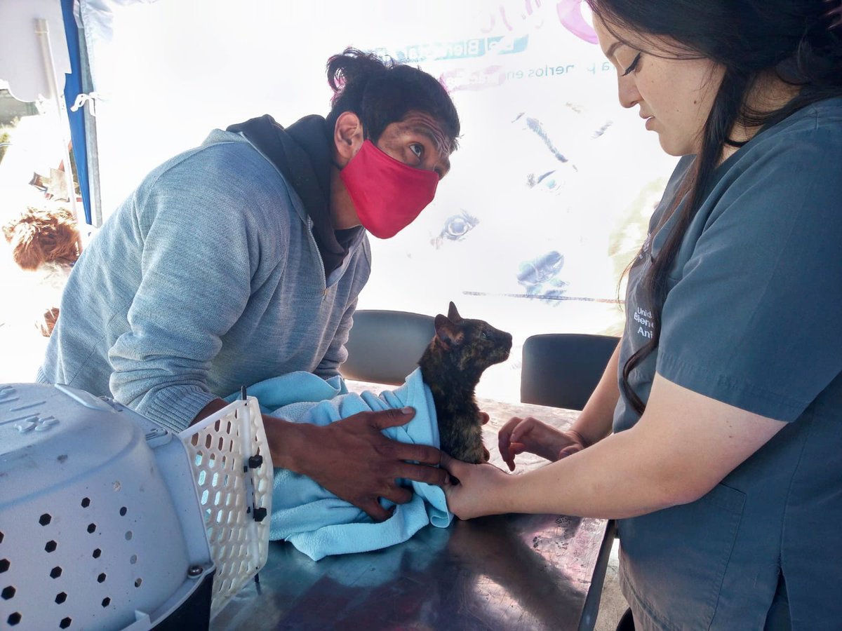 Unidad de Bienestar Animal Quito tweet media