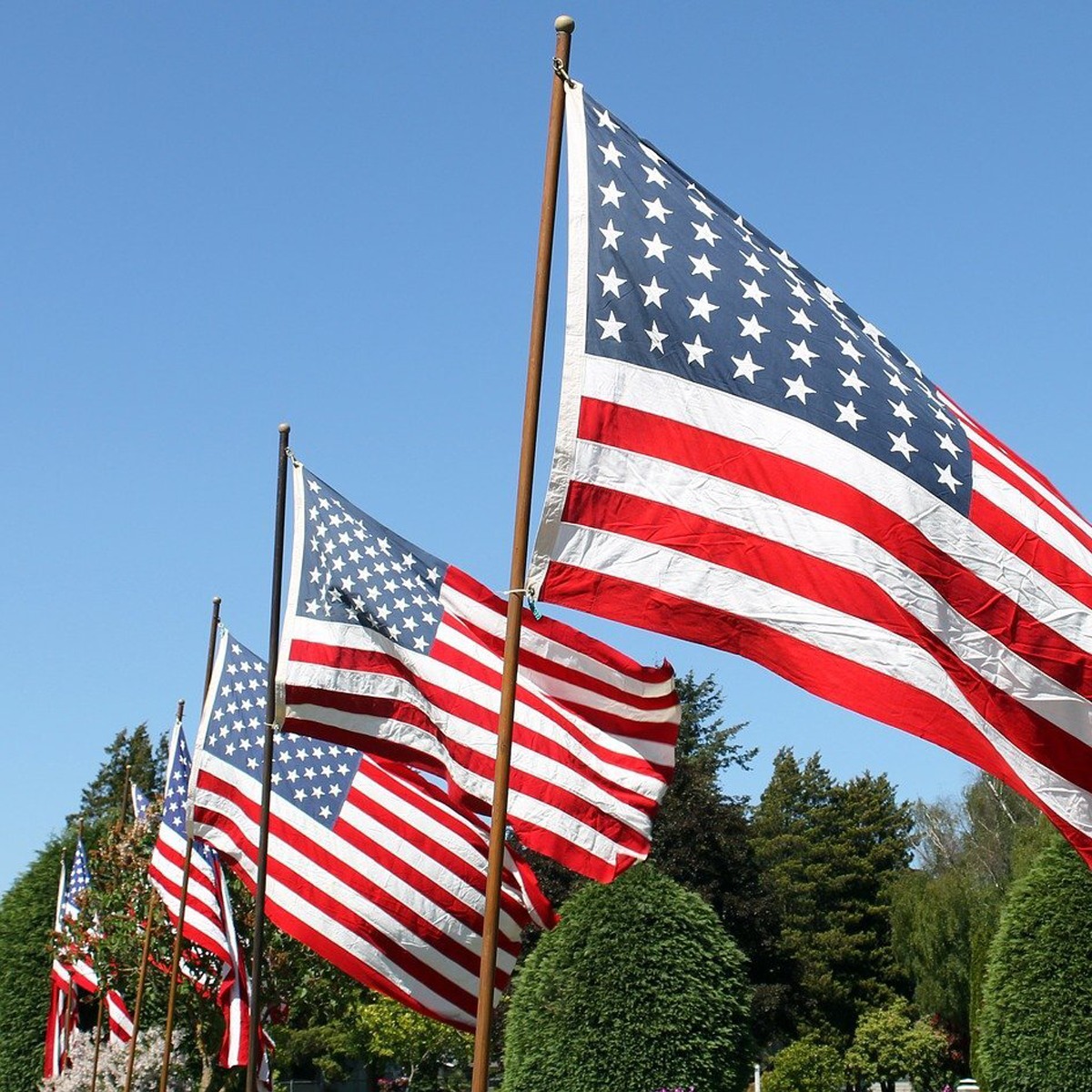 NewPig's tweet photo. Remembering and honoring our nation's fallen heroes today. #MemorialDay https://t.co/U8disS7rgO