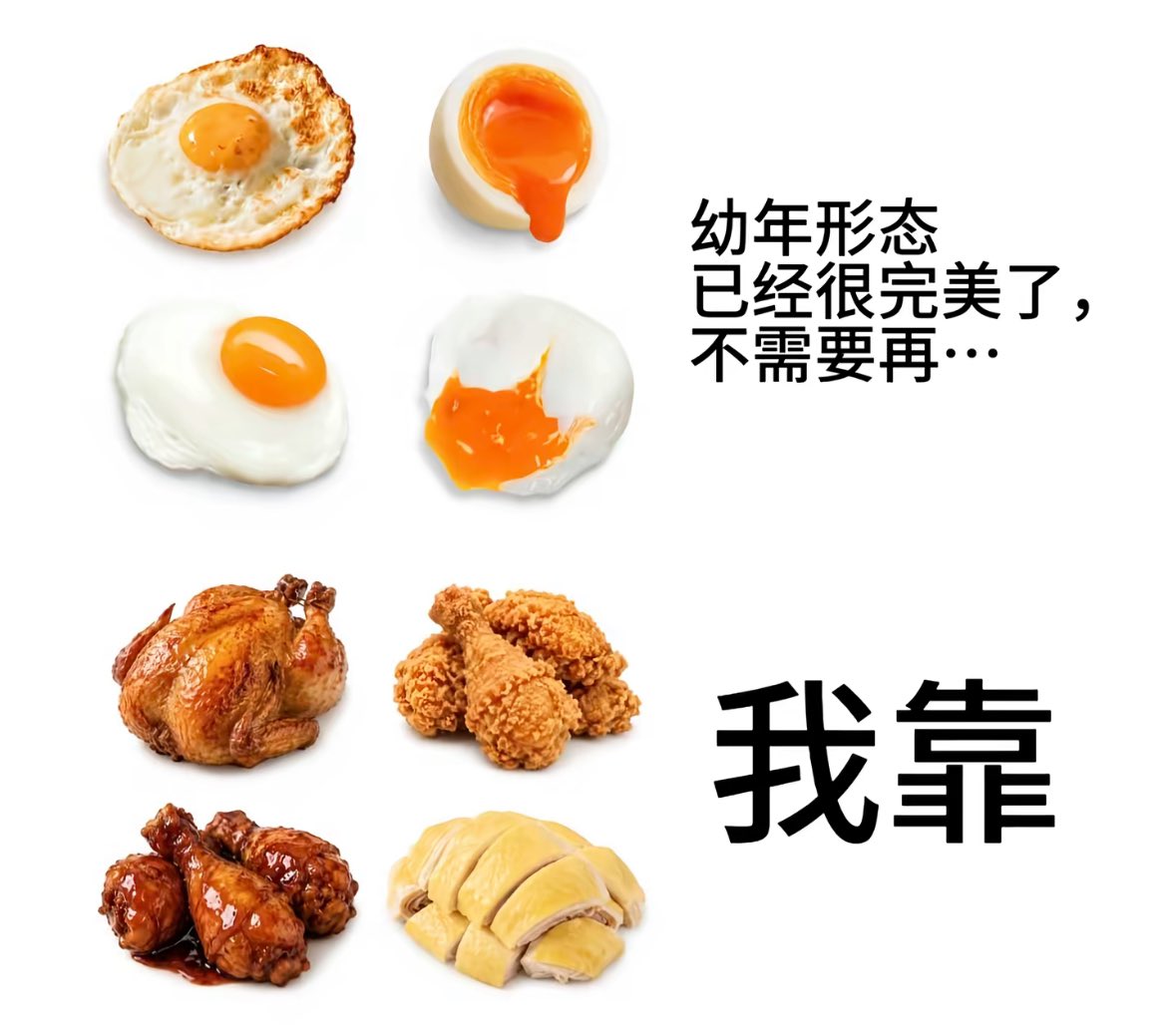 猫猫大厨 tweet media