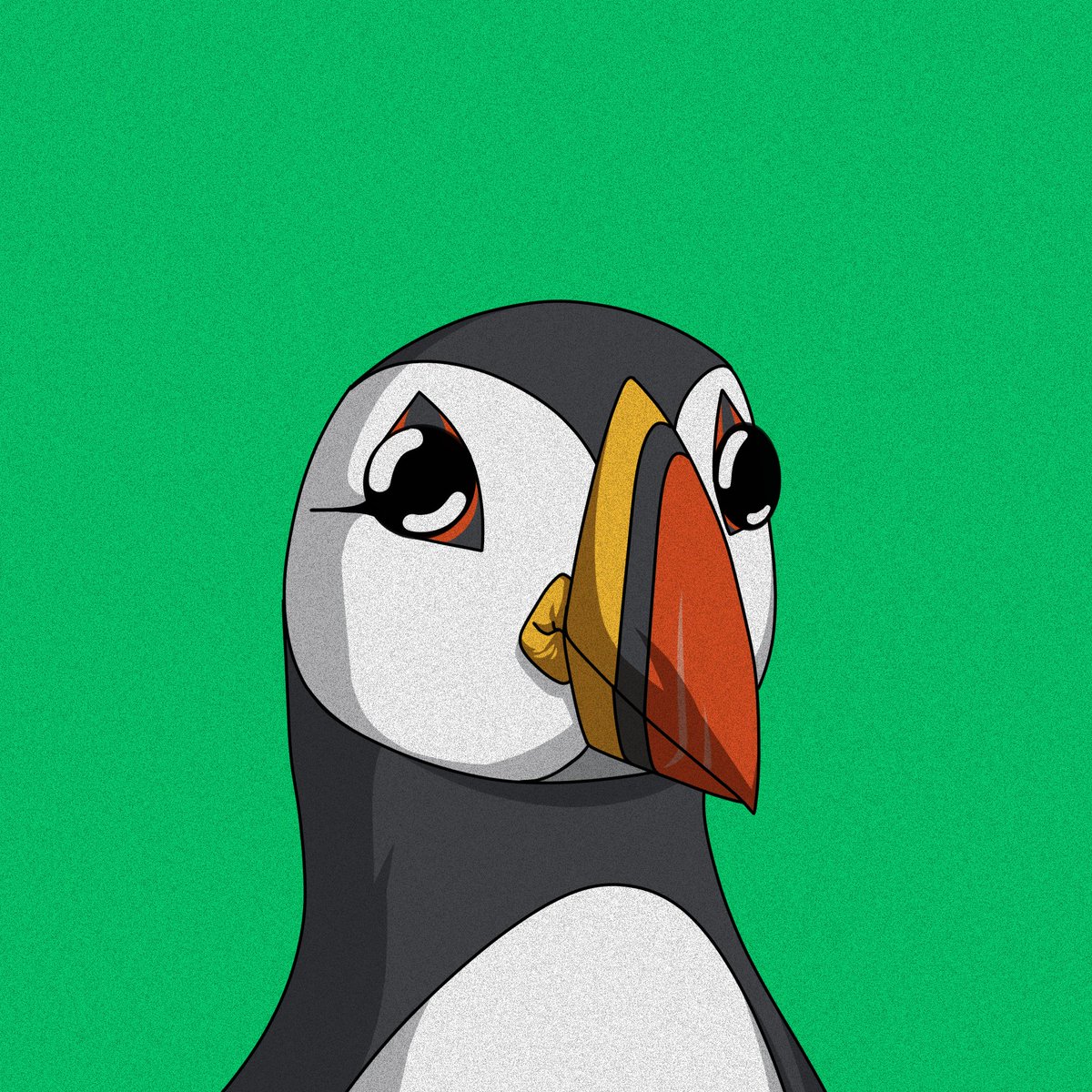 Puffins tweet media