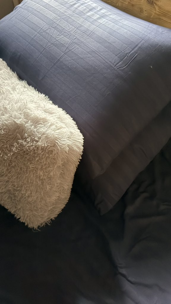 saintmykell's tweet photo. Fresh sheets. 😸 https://t.co/j6pRGzjB7e