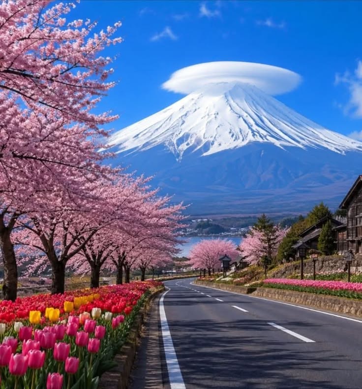 Beauty of Nature. tweet media