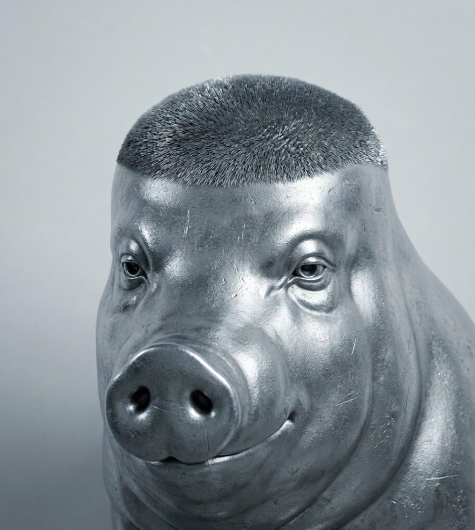 HowlingWiggerPig 🇺🇸 tweet media
