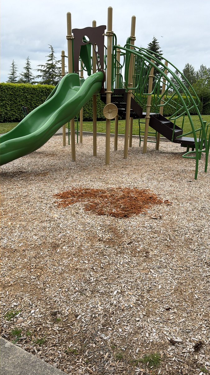 RivianRuckus's tweet photo. Good day metal detecting at the playground with my 4 year old. https://t.co/7pjLh0uZVg