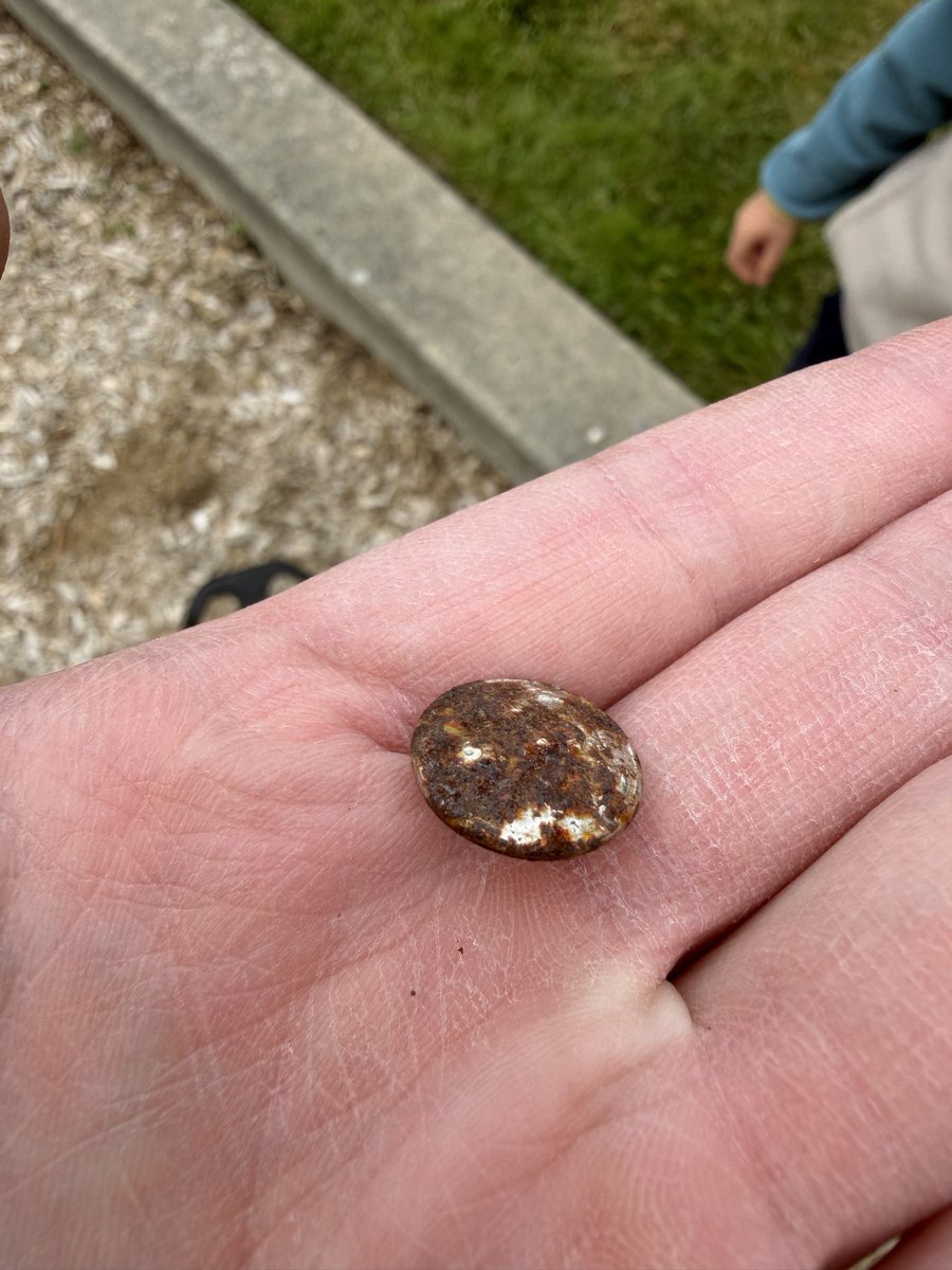 RivianRuckus's tweet photo. Good day metal detecting at the playground with my 4 year old. https://t.co/7pjLh0uZVg
