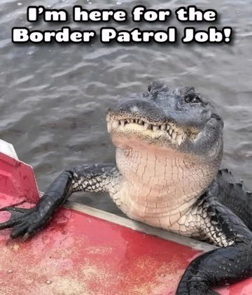 AZPatriotSteve tweet media
