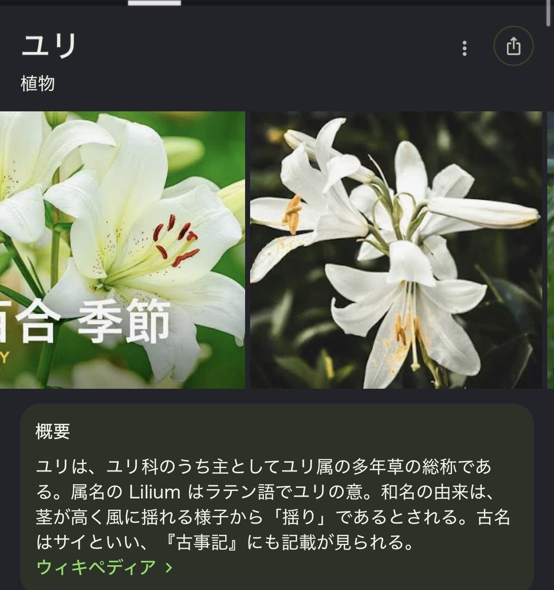 Shiro tweet media