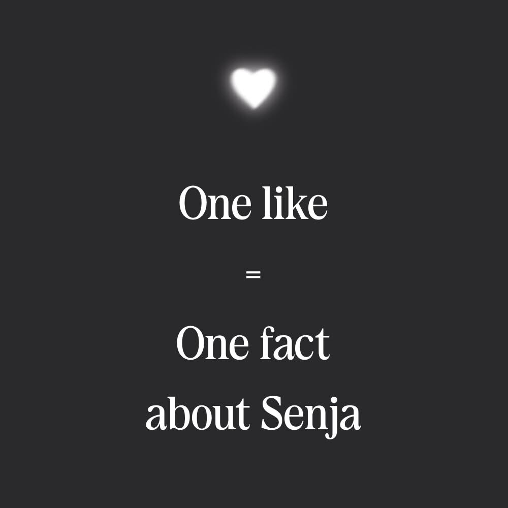 🍂✧˖° Sen tweet media