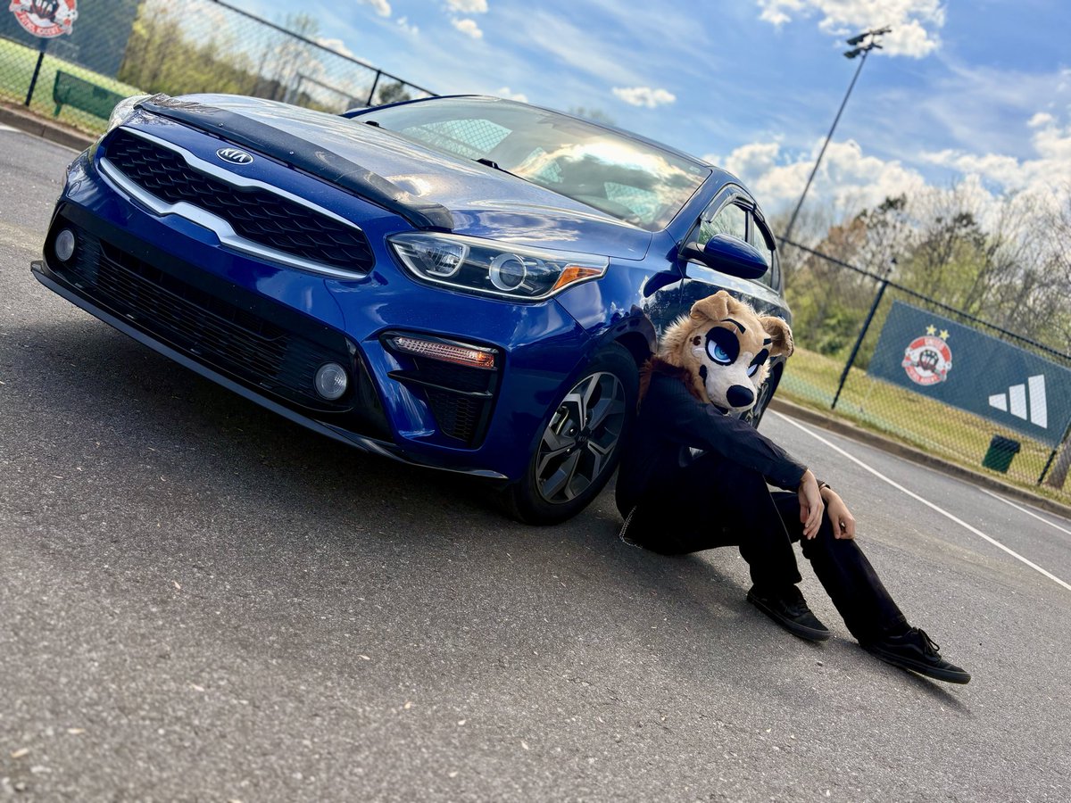 M4NUALMUTT's tweet photo. Guess who just joined the party…
.
.
.
.
#furry #fursuit https://t.co/YNJVrbWIL1