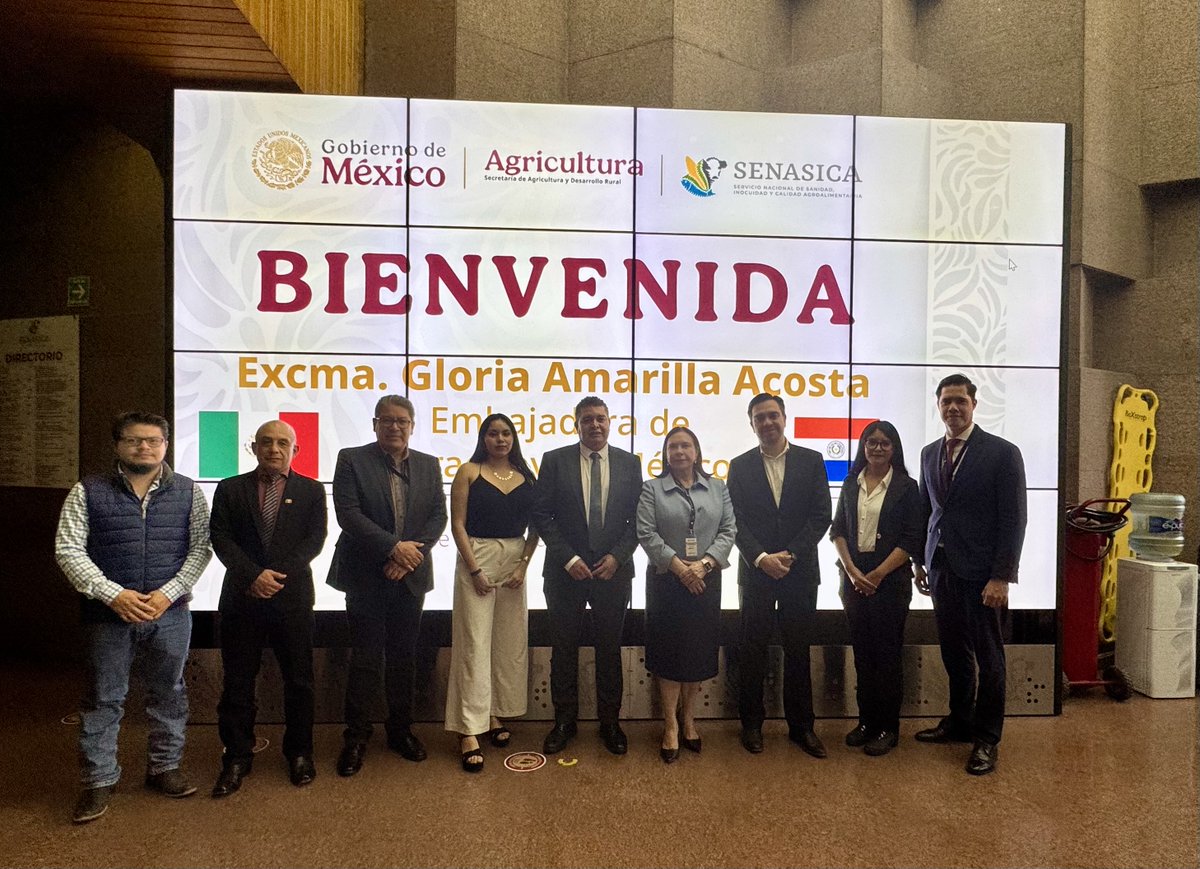 EmbaparMexico's tweet photo. Expertos veterinarios del Servicio Nacional de Sanidad, Inocuidad y Calidad Agroalimentaria de México (SENASICA) se encuentra realizando, del 18 al 26 de mayo, una misión técnica de verificación a frigoríficos paraguayos interesados en exportar carne bovina al mercado mexicano. https://t.co/pKzsbGq9hm