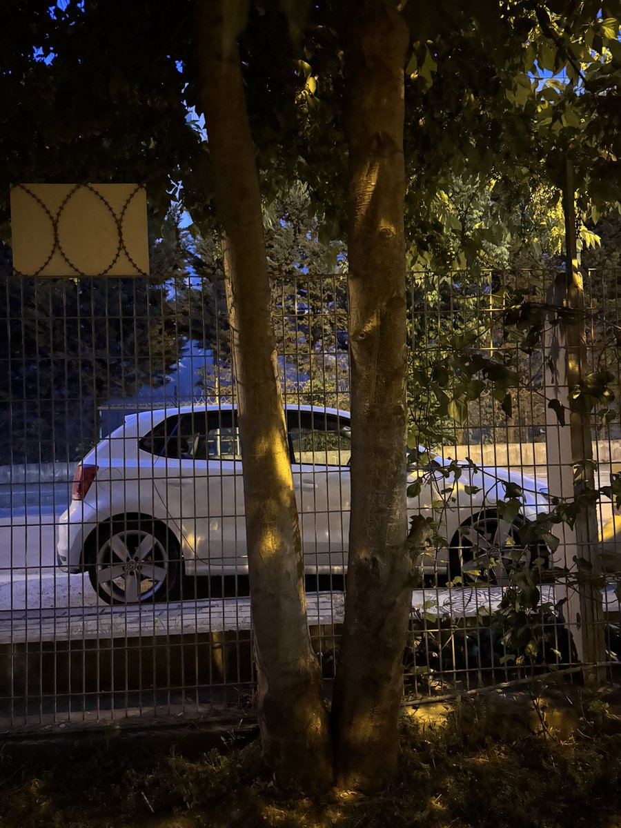 taneer_y's tweet photo. 16 saat çalıştığım günün tek çekilir yanı molalarda tellerin arkasından onu izlemek https://t.co/xH9PfMBhEE
