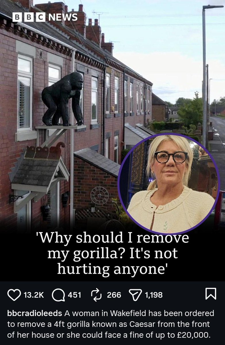 🎞️ shitposts.mp4 🎞️ tweet media