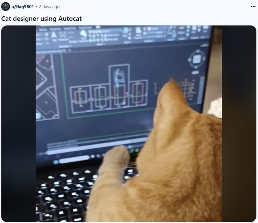 cats with jobs 🛠 tweet media