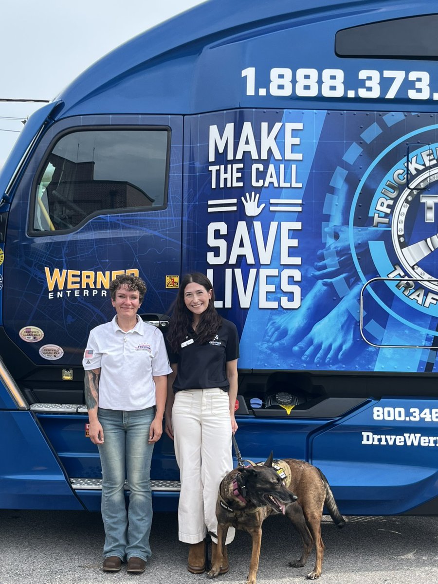 Drive Werner tweet media
