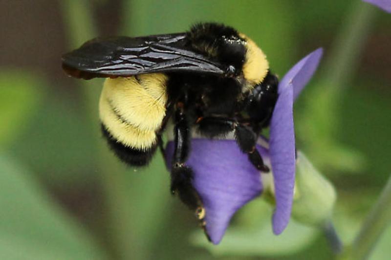 Give A Shit About Nature tweet media