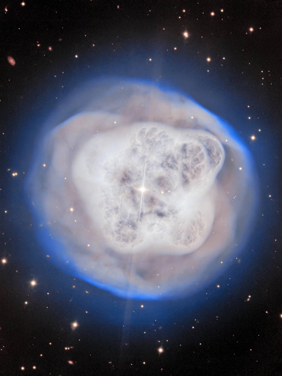 Black Hole tweet media