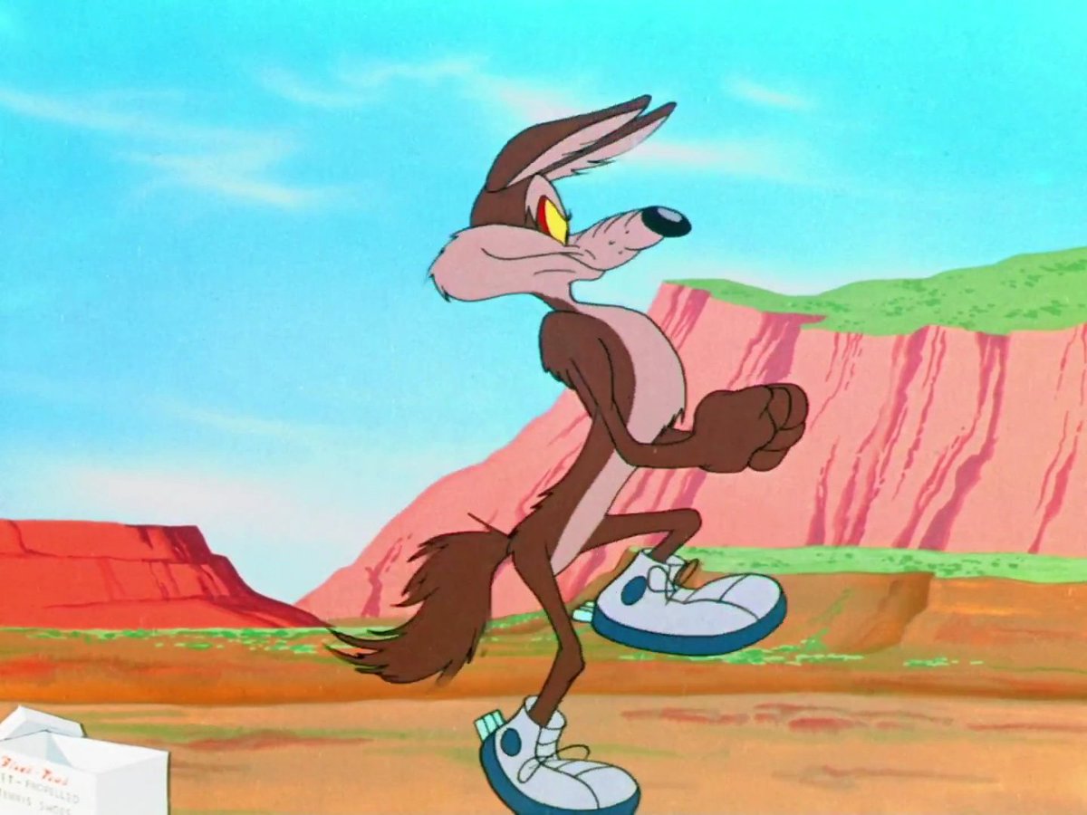 Daily Dose of Wile E. Coyote tweet media