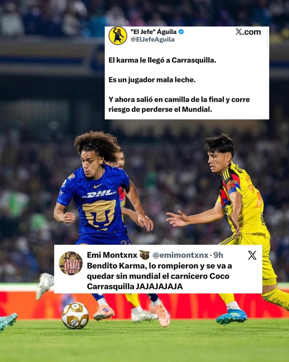Fran tweet media